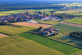 Luftaufnahme von Schoßberghof in Minfeld im Bundesland Rheinland-Pfalz, Deutschland
