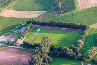 Sportplätze des FC1924 Insheim e.V im Bundesland Rheinland-Pfalz, Deutschland