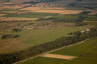Landau, Segelflugplatz Ebenberg in Landau in der Pfalz im Bundesland Rheinland-Pfalz, Deutschland