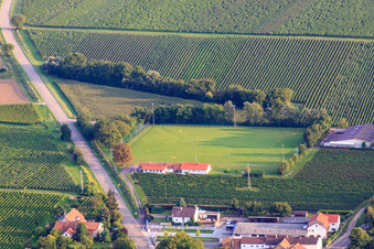 Sportplatz des SV Impflingen im Bundesland Rheinland-Pfalz, Deutschland von oben