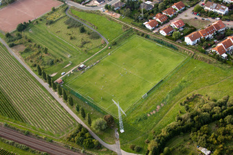 Luftbild von Mußbach an der Weinstraße, Sportplatz in Neustadt an der Weinstraße im Bundesland Rheinland-Pfalz, Deutschland