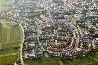 Ortsteil Maconring im Ortsteil Hambach in Neustadt an der Weinstraße im Bundesland Rheinland-Pfalz, Deutschland