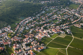 Lichtenbergersches Anwesen im Ortsteil Hambach an der Weinstraße in Neustadt an der Weinstraße im Bundesland Rheinland-Pfalz, Deutschland