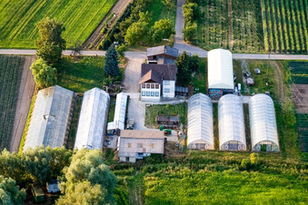 Erlenhof in Erlenbach bei Kandel im Bundesland Rheinland-Pfalz, Deutschland