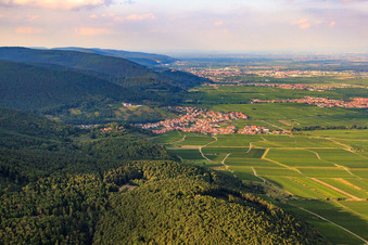 Luftbild von Winzerort am Haardtrand von Süden im Ortsteil SaintMartin in Sankt Martin im Bundesland Rheinland-Pfalz, Deutschland