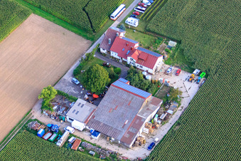 Luftbild von Wein- und Sektgut Rosenhof in Steinweiler im Bundesland Rheinland-Pfalz, Deutschland