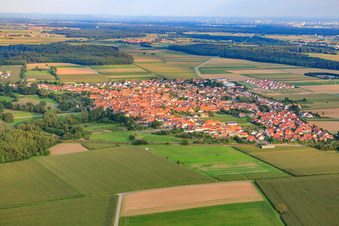 Dorfansicht von Nordwesten in Steinweiler im Bundesland Rheinland-Pfalz, Deutschland von oben