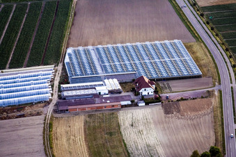 Sandhof in Herxheim bei Landau im Bundesland Rheinland-Pfalz, Deutschland