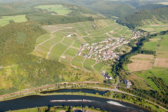 Felder einer Weinbergs- Landschaft der Winzer- Gebiete in Ockfen im Bundesland Rheinland-Pfalz, Deutschland