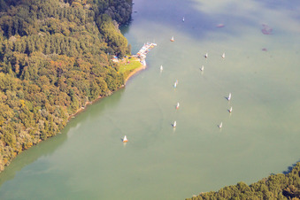 Lingenfelder Altrhein, Segelclub Lingenfeld SCLF im Bundesland Rheinland-Pfalz, Deutschland