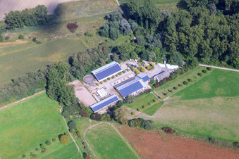 Luftaufnahme von Kennelhof im Ortsteil Sondernheim in Germersheim im Bundesland Rheinland-Pfalz, Deutschland