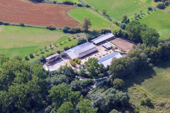 Kennelhof im Ortsteil Sondernheim in Germersheim im Bundesland Rheinland-Pfalz, Deutschland von oben