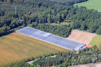 Schrägluftbild von Gärtnerei Klaus u. Frank Mildenberger im Ortsteil Sondernheim in Germersheim im Bundesland Rheinland-Pfalz, Deutschland