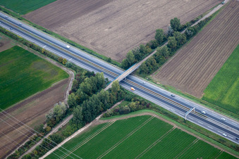 Mutterstadt im Bundesland Rheinland-Pfalz, Deutschland von oben