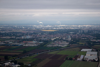 Luftbild von Bauhaus im Ortsteil Oggersheim in Ludwigshafen am Rhein im Bundesland Rheinland-Pfalz, Deutschland