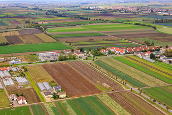Im Steinböhl in Maxdorf im Bundesland Rheinland-Pfalz, Deutschland