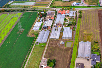 Im Steinböhl Gartenbau in Maxdorf im Bundesland Rheinland-Pfalz, Deutschland