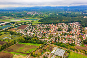 Maxdorfer Weg im Bundesland Rheinland-Pfalz, Deutschland