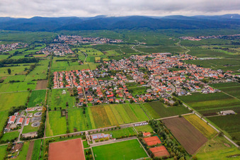 Dorfansicht von Osten in Niederkirchen bei Deidesheim im Bundesland Rheinland-Pfalz, Deutschland
