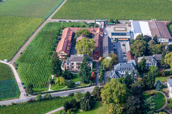 Gebäude und Parkanlagen am Weingut Dr. Bürklin-Wolf in Wachenheim an der Weinstraße im Bundesland Rheinland-Pfalz, Deutschland aus der Luft betrachtet
