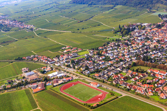 Schrägluftbild von Sportplatz des TuS 1883 Wachenheim e.V in Wachenheim an der Weinstraße im Bundesland Rheinland-Pfalz, Deutschland