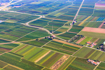 Luftbild von Übergang am Friedelsheimer Bahnhof im Bundesland Rheinland-Pfalz, Deutschland