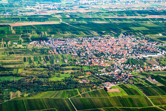 Luftbild von Weisenheim am Sand im Bundesland Rheinland-Pfalz, Deutschland