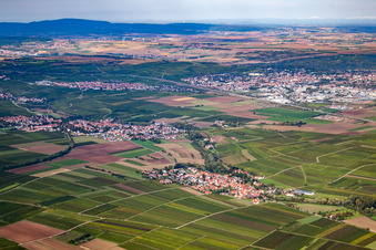Luftbild von Dorf - Ansicht von Sausenheim in Bissersheim im Bundesland Rheinland-Pfalz, Deutschland