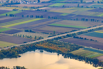 Lambsheimer Weiher im Bundesland Rheinland-Pfalz, Deutschland