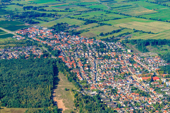 Mannheimer Straße in Birkenheide im Bundesland Rheinland-Pfalz, Deutschland