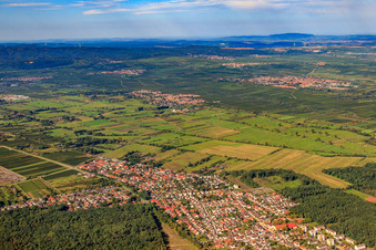 Luftbild von Ortsansicht aus Südosten in Birkenheide im Bundesland Rheinland-Pfalz, Deutschland