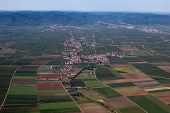 Luftbild von Dorf - Ansicht am Rande von landwirtschaftlichen Feldern und Nutzflächen in Gönnheim im Bundesland Rheinland-Pfalz, Deutschland