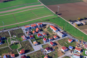 Am Tabakfeld in Kandel im Bundesland Rheinland-Pfalz, Deutschland