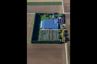 Schrägluftbild von Sudetenhof in Steinweiler im Bundesland Rheinland-Pfalz, Deutschland