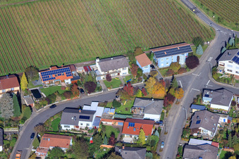 Am Frohnacker im Ortsteil Mörzheim in Landau in der Pfalz im Bundesland Rheinland-Pfalz, Deutschland