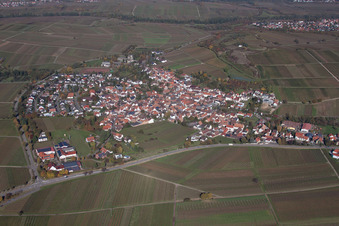 Dorf - Ansicht am Rande von landwirtschaftlichen Feldern und Nutzflächen in Ilbesheim bei Landau in der Pfalz im Bundesland Rheinland-Pfalz, Deutschland