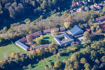 Privates Trifels-Gymnasium in Annweiler am Trifels im Bundesland Rheinland-Pfalz, Deutschland