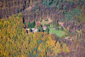 Forstbetrieb Adelberg in Annweiler am Trifels im Bundesland Rheinland-Pfalz, Deutschland