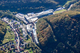 Schrägluftbild von Chripa Paletten GmbH im Ortsteil Sarnstall in Annweiler am Trifels im Bundesland Rheinland-Pfalz, Deutschland