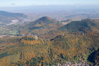 Luftbild von Die 4 Burgen Trifels, Anebos, Jungturm und Münz in Leinsweiler im Bundesland Rheinland-Pfalz, Deutschland