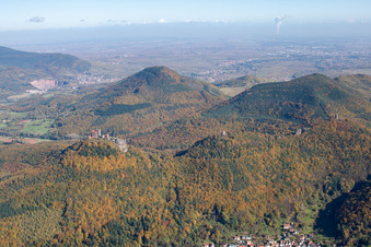 Luftaufnahme von Die 4 Burgen Trifels, Anebos, Jungturm und Münz in Leinsweiler im Bundesland Rheinland-Pfalz, Deutschland