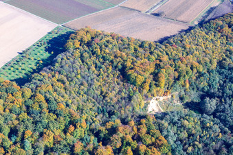 Luftbild von Sandgrube im Wald im Ortsteil Ingenheim in Billigheim-Ingenheim im Bundesland Rheinland-Pfalz, Deutschland