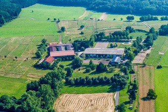 Pfinztal-Berghausen, Reitanlage Berghausen im Bundesland Baden-Württemberg, Deutschland