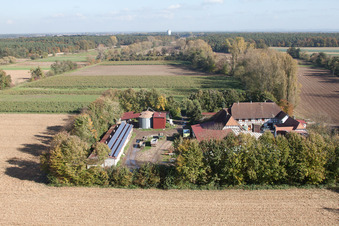 Leistenmühle in Erlenbach bei Kandel im Bundesland Rheinland-Pfalz, Deutschland von oben