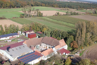 Leistenmühle in Erlenbach bei Kandel im Bundesland Rheinland-Pfalz, Deutschland von oben gesehen