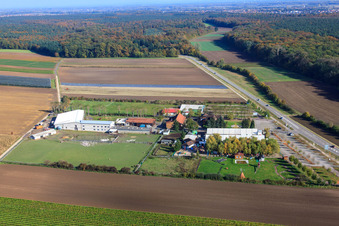 Adamshof in Kandel im Bundesland Rheinland-Pfalz, Deutschland von oben