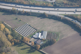 Karlsruhe, Edgar-Heller-Straße, Gärtnerei im Ortsteil Durlach im Bundesland Baden-Württemberg, Deutschland