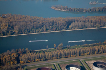 Rhein bei Karlsruhe im Ortsteil Knielingen im Bundesland Baden-Württemberg, Deutschland