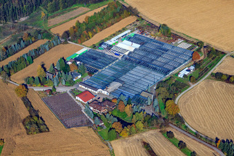 Schrägluftbild von Geranien Endisch GmbH in Hagenbach im Bundesland Rheinland-Pfalz, Deutschland