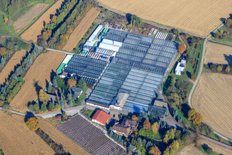 Geranien Endisch GmbH in Hagenbach im Bundesland Rheinland-Pfalz, Deutschland aus der Luft